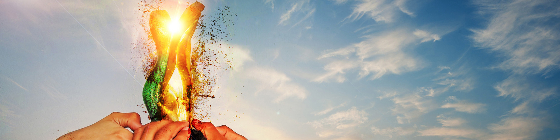 榮譽(yù)資質(zhì)